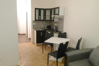 Black & White Apartment Prague by Wenceslas Square and Muzeum - Prag - 4