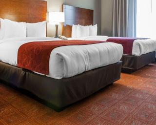 Comfort Suites Farmington - Farmington - 7