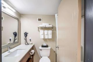 Quality Inn Rochester West - 7