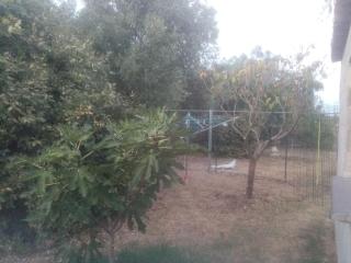 A fontanille - Magalas - 1