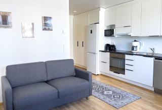 Aseman Portti - Stunning Studio 11th Floor - Kuopio - 5