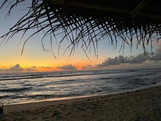 Ocean Reef Hotel - Hikkaduwa - 7