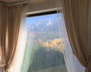 Villa & Spa Plaiul Foii - Sierra Blanca - Zărneşti - 2