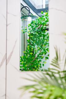 在盐官民宿 -  - 6