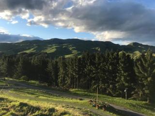 Rural retreat with the most incredible views! - Kahuranaki - 9