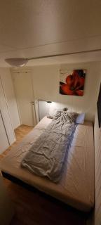 Small cosy and fully equipped apartment with the possibility to rent a car through Getaround - Tromsø - 4