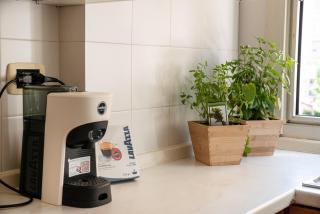 Bernadette Apartment - Vaticano area - Rome - 5