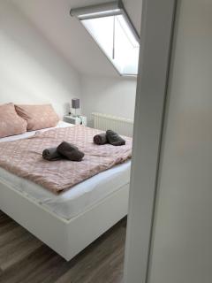 FeWo Lindenhof - Alt Reddevitz - 3