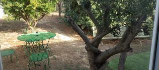 A fontanille - Magalas - 2