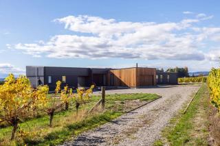 89 In The Vines - Martinborough - 9