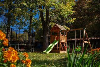 Forest Paradise Hanevci - 6