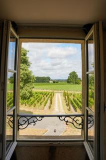 Château Vieux Clos Saint Émilion - Saint-Émilion - 5