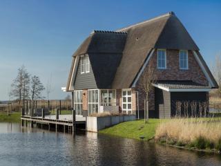 Thatched Villa with a sauna at Tjeukemeer - Delfstrahuizen - 0