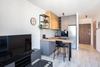 Urban Chic - City Center - One Bedroom Apartment - Opolska - Katowice - 1