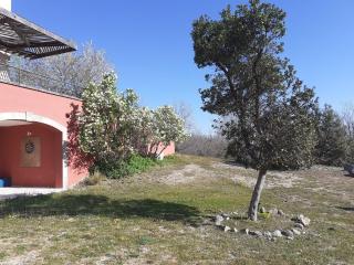 Maison de vacances 12 chambres et piscine - Colognac - 5