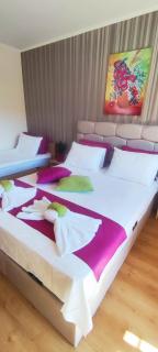 Cedar Lodge 3/4 Apartment Paradise - Bansko - 5