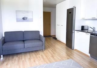 Aseman Portti - Stunning 1BR Apartment 10th Floor - Kuopio - 5