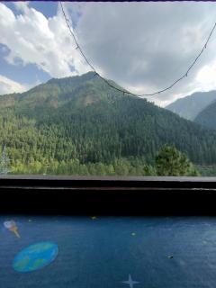 Bobkin's Aryan Homestay - 4