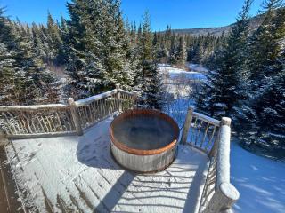 Les Chalets de Môh - La Malbaie - 1