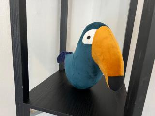 Studio Le petit pélican - Châtenois - 1
