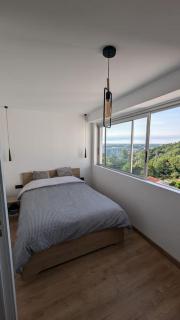Appartement duplex lumineux - Cenon - 2