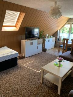 ferienwohnung-am-zoo - Kritzmow - 3