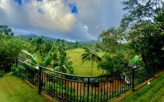 Rainforest Border Edge - Deniyaya - 0