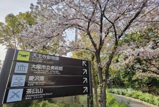 Detached house near JR & METRO Tennoji Station, - 7