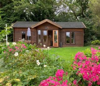 The 'SHED' Log Cabin, Bishop Sutton - 9