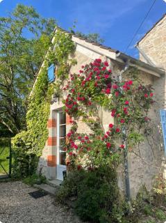 Dog friendly gîte with private Garden, jacuzzi and pool - Penne-dʼAgenais - 0