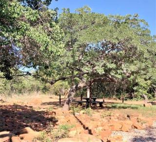Assegai Lodge - Moheme - 9