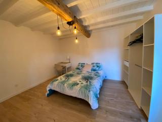 Charmant appartement centre ville de Castres - Castres - 3