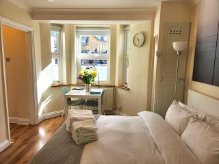ST 1 - Newly refurbished Studio flat - close to tube 1-2 mins - Londra - 9