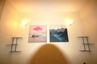 St 7 - Cosy, Modern Studio Apartment-Corbyn St N4 - Londra - 1