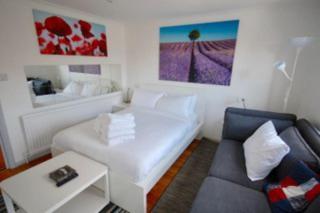 Lovely New Studio Flat - 24C - London - 9