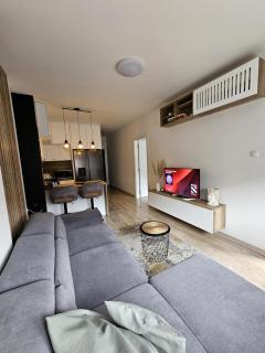 Bling Boutique Apartments - Novi Sad - 4