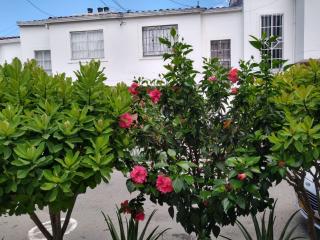 Linda Casa de dos pisos en Floridablanca, Comoda y Privada - 9