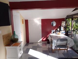 L'olivier en Périgord - 5