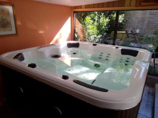 L'olivier en Périgord - 3