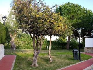 Cañuelo house Playa paraíso - Vélez-Málaga - 3