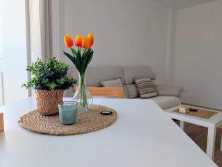 Apartamento Costa de la Luz - Chiclana de la Frontera - 1