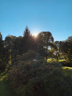 Schloss Kalkhorst - 5