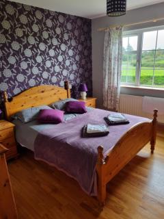 Pebble Dash House - Mayo - 6