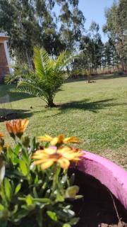 Alojamiento Serrano MyG - Tandil - 2