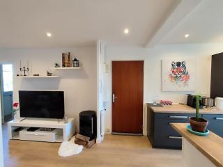 Appartement Le Repère du Vert Galant - Billère - 4
