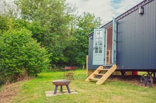 Luxury hut on the River Arle - New Alresford - 0