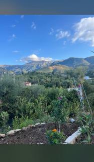 Village View Apartments - Himare - 9
