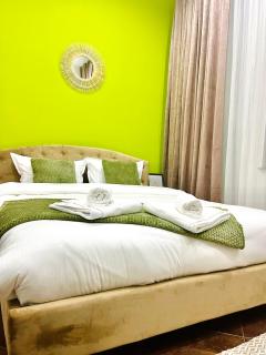 Confort Luxury Center Villa- langa Mitropolie si Palas - Iaşi - 9