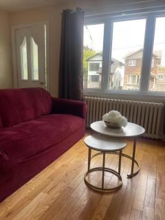 Entire Apartment - Kingston - 7