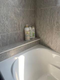 Entire Apartment - 4